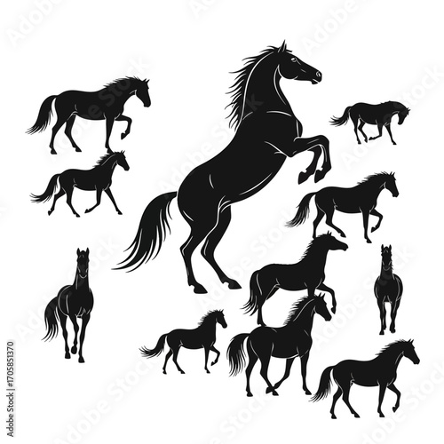 A collection of black horse silhouettes in various dynamic poses and gaits.