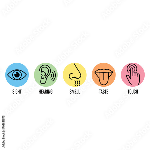 A collection of five colorful icons representing the human senses sight hearing smell taste and touch.