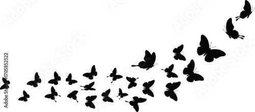 Butterfly silhouettes flying upward in curved formation, black insect vector illustration, decorative butterfly swarm in motion, isolated wildlife design element