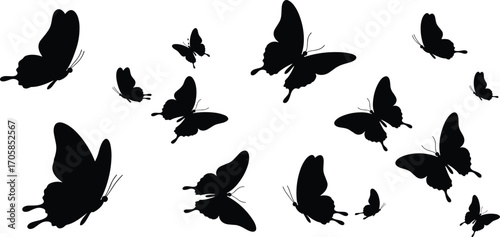 Butterfly silhouettes flying in scattered formation, black insect vector illustration of wild butterflies in motion, isolated decorative swarm design artwork