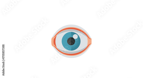 Stylized Blue Eye with White Sclera and Reddish-Brown Eyelids Flat Design.