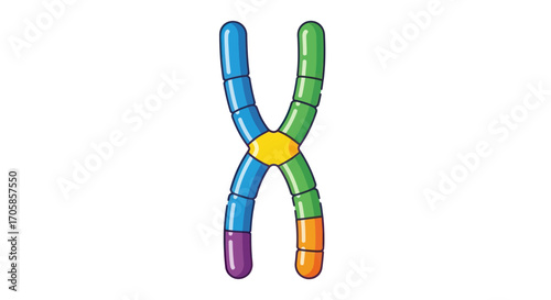 Tableau sur toile Colorful Cartoon Chromosome Depicting Genetic Information and Structure