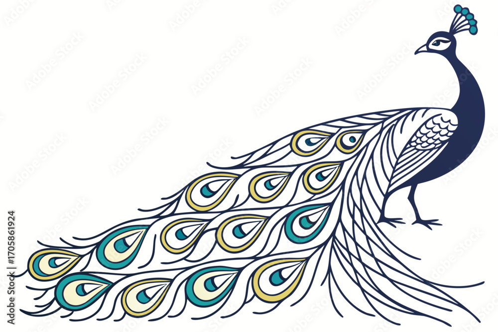 Obraz premium peacock on white background