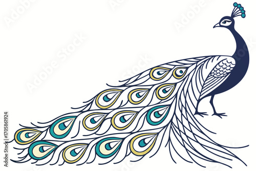peacock on white background