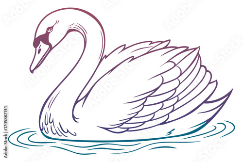swan on the water