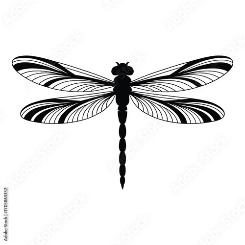 Elegant black and white dragonfly silhouette with intricate wing patterns