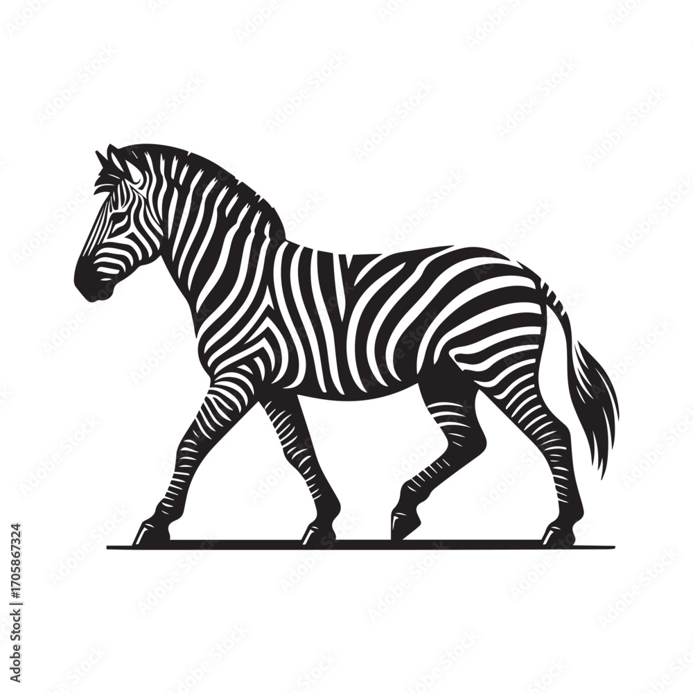 Fototapeta premium zebra vector illustration