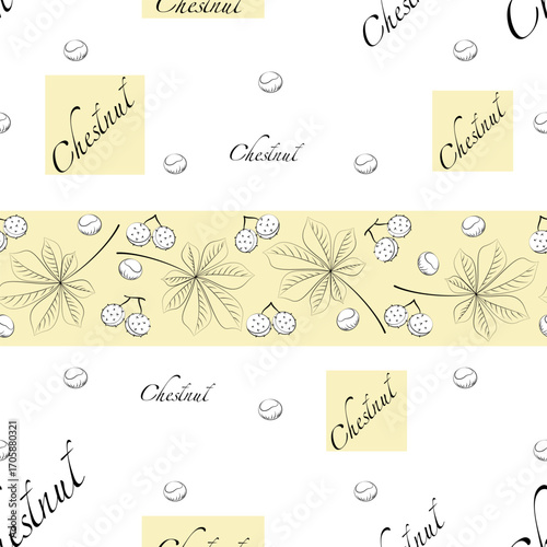 Chestnut. Vector background. Autumn tree leaves with fruits. Linear plant template. Seamless pattern 