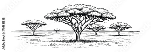 Savanna Landscape Sketch with Acacia Trees in Black and White Vector Illustration