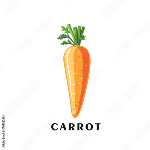 carrot vector illustration