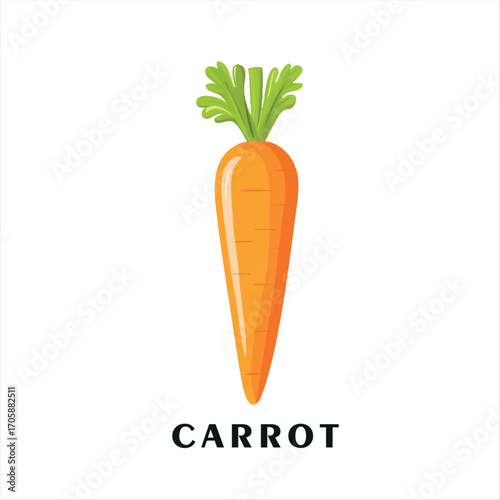 carrot vector illustration