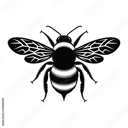 Detailed black and white illustration of a bumblebee in flight