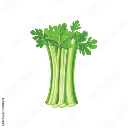 Fresh Celery Stalks.  A vibrant bunch of celery stalks, displaying the characteristic green color and ribbed texture.  The stalks are tightly clustered, suggesting a fresh, healthy produce item
