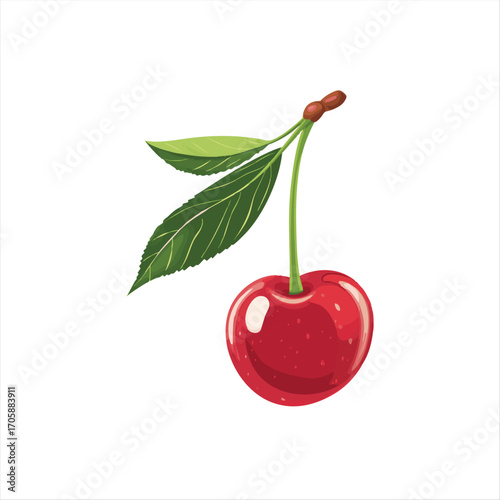 vector Single ripe cherry with leaves