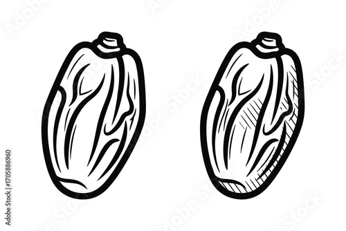 Dried Date Fruits Outline Icon, Vector Illustration Isolated on White Background