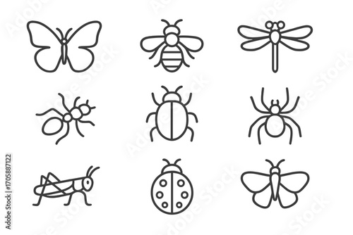 Wild Insect Icons_simple_compose 