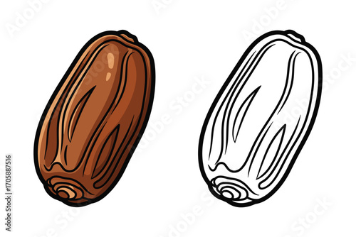 Two Dates Fruit Isolated, Brown and Outline Version, Vector Illustration
