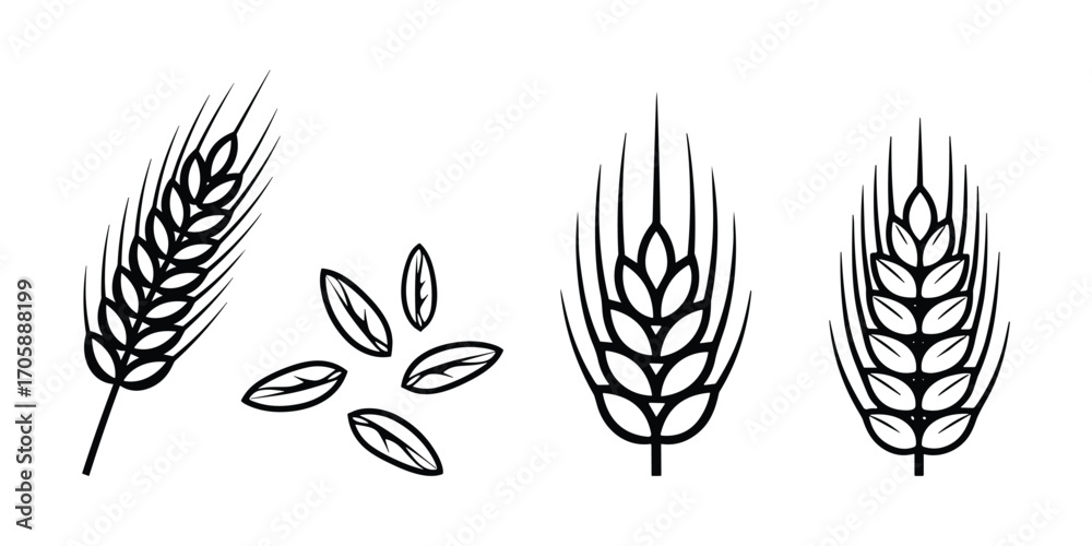 Obraz premium Wheat Ears and Grains Set Black Outline Vector Illustration