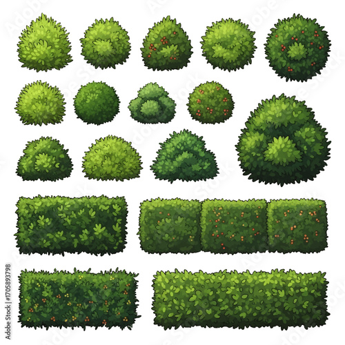 Collection of digitally painted shrubs and hedges, viewed from above, showcasing various shapes and sizes