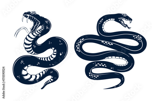 Set of illustrations of poisonous snake in engraving style. Design element for label, sign, poster, t shirt. Vector illustration