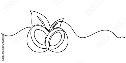 Continuous one single minimal line drawing coconut, Single continuous line drawing of World Coconut Day vector illustration. Fresh fruitage concept for fruit garden icon. Editable outline