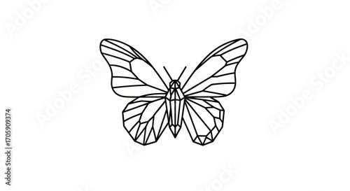 Geometric Butterfly Illustration with Intricate Wing Patterns.
