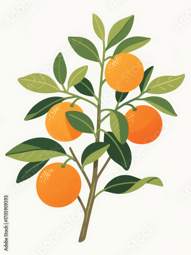 Sweet Orange Plant Illustrator Artwork Design Template Poster