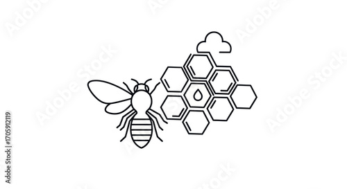 Simple Line Art Illustration of Honeybee and Honeycomb.