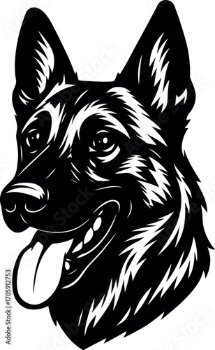 Belgian Malinois guard dog head Silhouette Portrait