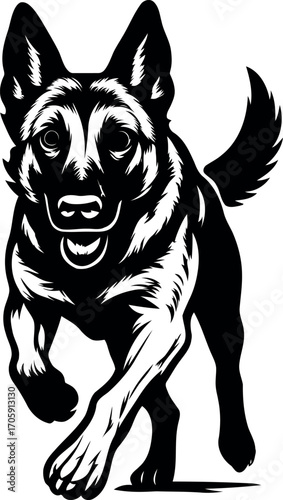 Silhouette of a Running Belgian Malinois Guard dog 