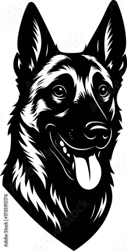 Belgian Malinois guard dog head Portrait Black and White Silhouette