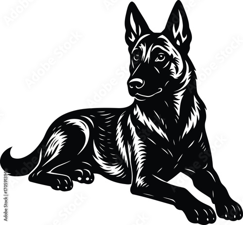Elegant Black and White Silhouette of a Belgian Shepherd Guard Dog