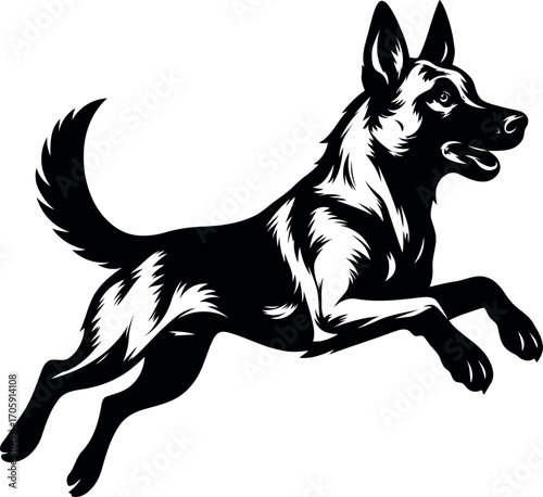 Belgian Malinois Guard dog Jumping Silhouette