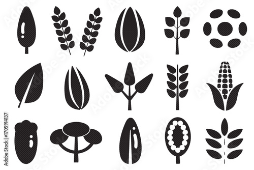Collection of seeds and leaves