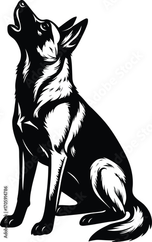 Silhouette of a Howling Belgian Malinois Guard dog Illustration