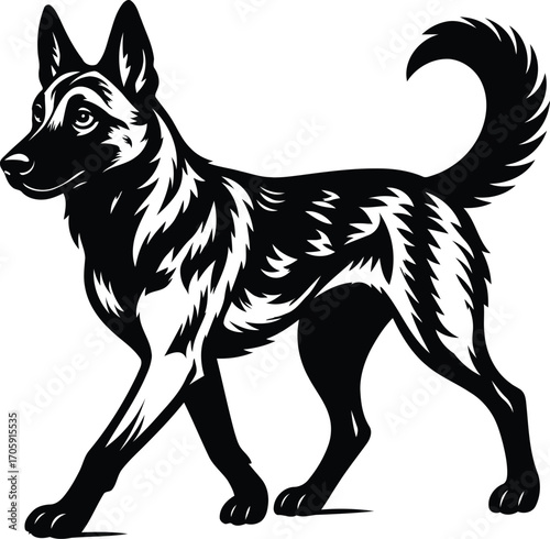 Elegant Belgian Malinois Guard dog Silhouette