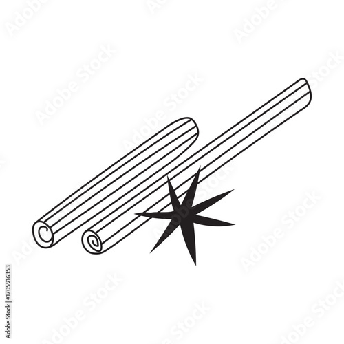 Cinnamon sticks and star anise illustration