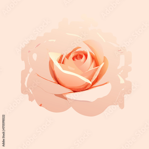 pink rose