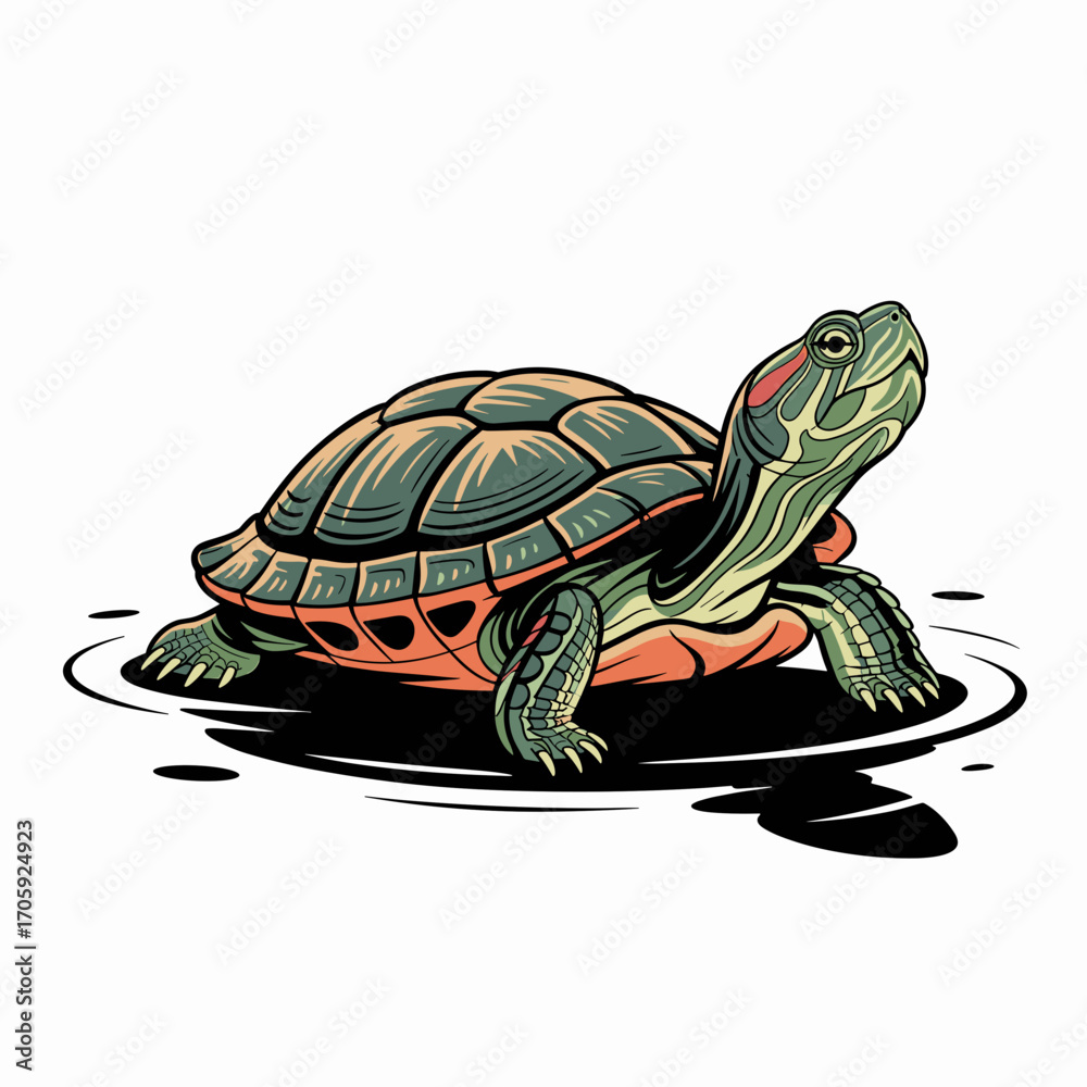 Fototapeta premium Red-Eared Slider Turtle Vector Illustration