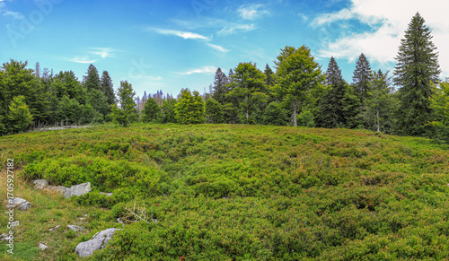 Schachten, Bergweiden, Almen im Bayerischen Wald