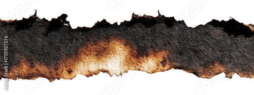 Torn strip of burnt brown paper with rough charred edges, isolated on transparent cutout background