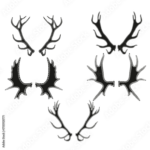 Antler Illustrations – Different pairs of deer or elk antlers with decorative dotted details