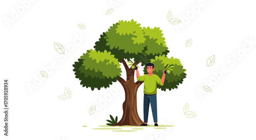 Illustration Of Man Harvesting Olives From Tree In A Delightful, Rustic Garden Scene
