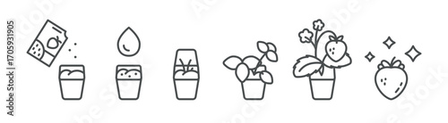 Strawberry Growth Process Icon Set: Planting Seeds, Watering, Sprouting, Growing Plant and Harvesting Ripe Berries
