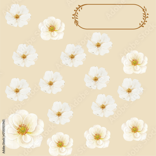 Daisy Flower Pattern