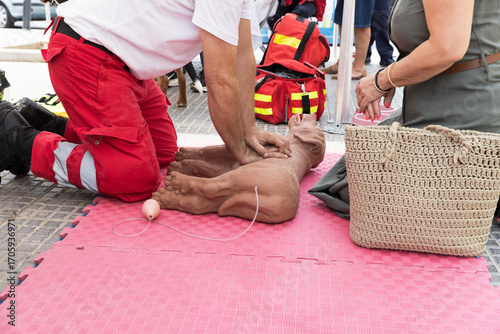 Veterinarian Training Demonstration Using Dog CPR Mannequin for First Aid and Emergency Pet Resuscitation on Outdoor Event with Instructors and Participants