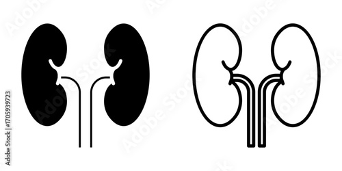 Kidneys icon set on white background