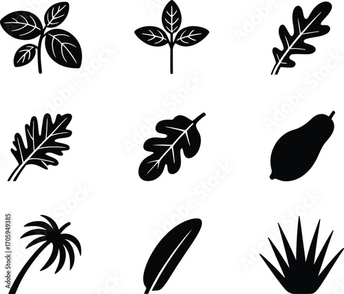 Collection of nine diverse black leaf and plant silhouette icons