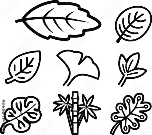 Collection of nine hand drawn black and white leaf illustrations in various shapes