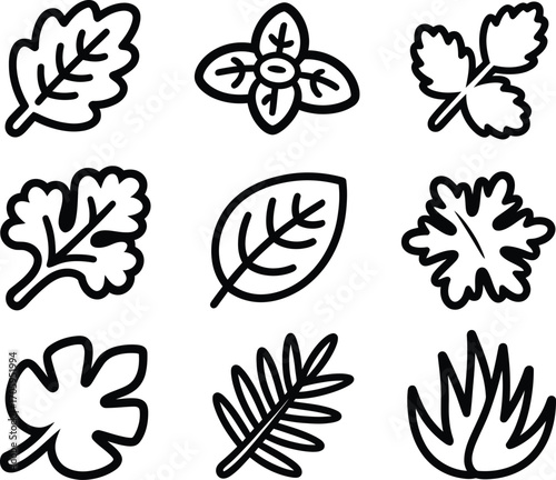 Collection of nine hand drawn stylized herb and leaf icons in black and white